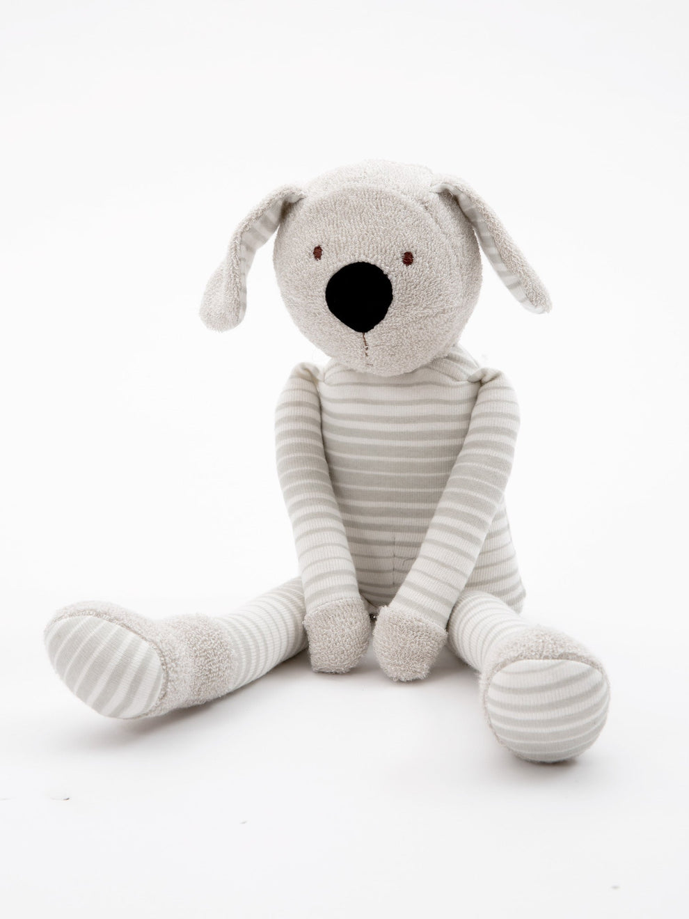 Buddy the Dog