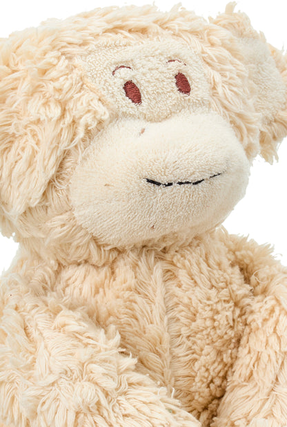 Max the Monkey
