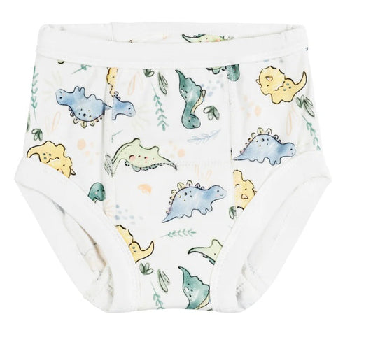 Training Pants - Dino Print